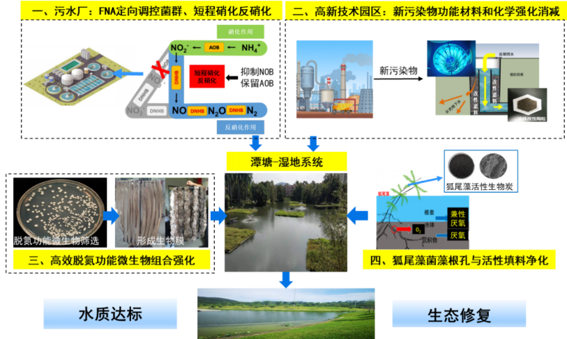 金年会环保新质生产力丨尾水多级强化净化水质提升技术与应用